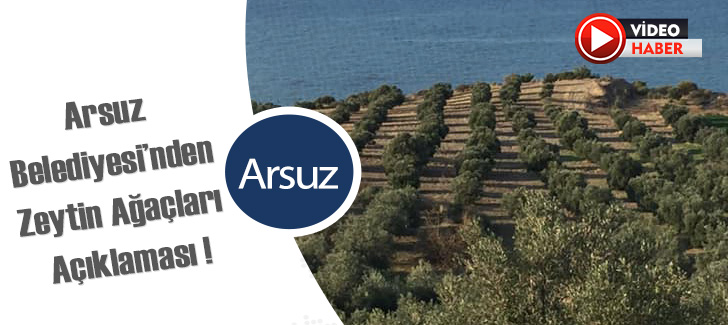 Arsuz Belediyesinden Zeytin Ağaçları Açıklaması !
