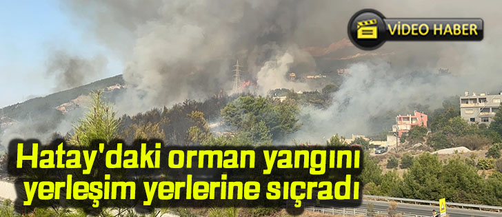 Hatay'daki orman yangını yerleşim yerlerine sıçradı