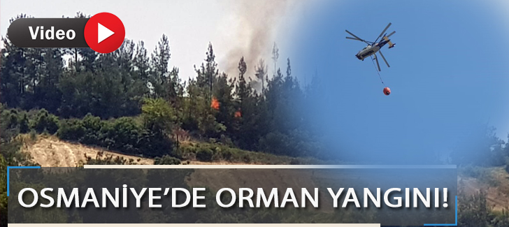  Osmaniyede orman yangını