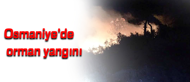 Osmaniye'de orman yangını 