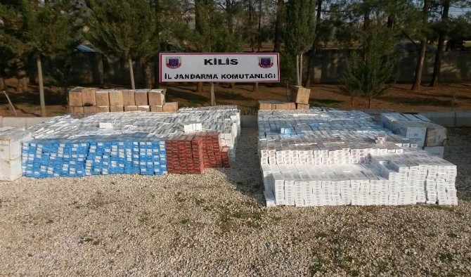 Kilis'te 16 Bin Paket Kaçak Sigara Ele Geçirildi