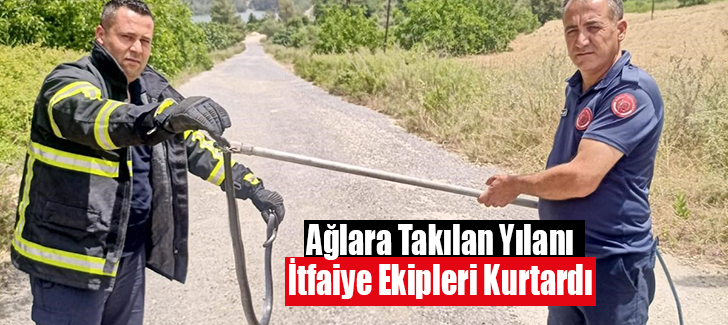 Yayladağ'da itfaiye ekipleri ağlarda mahsur kalan yılanı kurtardı