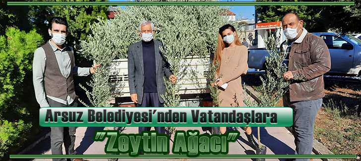  Arsuz Belediyesi'nden Vatandaşlara 'Zeytin Ağacı'