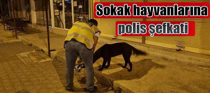 Sokak hayvanlarına polis şefkati