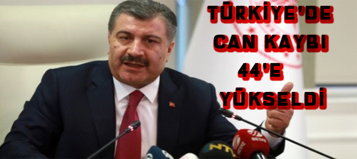 Türkiye'de can kaybı 44'e yükseldi