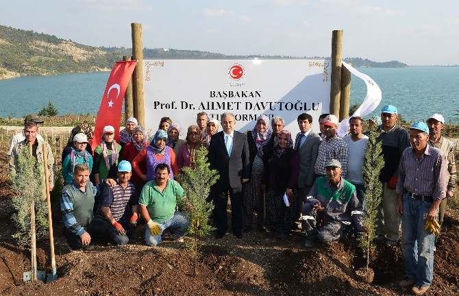 Adana'da Başbakan Davutoğlu İçin Hatıra Ormanı Açıldı