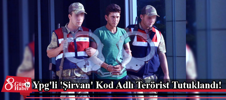 Ypg'li 'Şirvan' Kod Adlı Terörist Tutuklandı!
