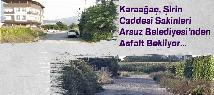 Karaağaç, Şirin Caddesi sakinleri Arsuz Belediyesinden asfalt bekliyor