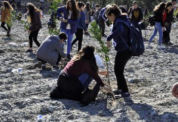 Dörtyol'da Öğrenciler Narenciye Bahçesi Kurdu