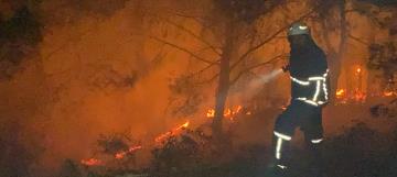 Belen'de havai fişek ormanda yangına neden oldu