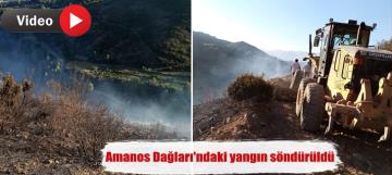 Amanos Dağları'ndaki yangın söndürüldü
