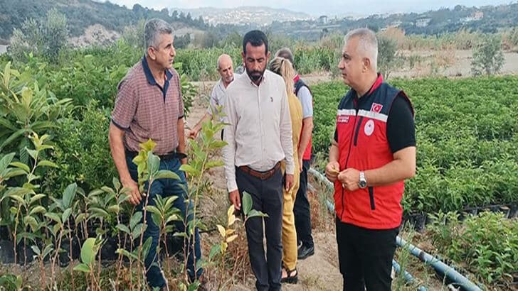 Hatay’ın Fidan Üretimi Güçleniyor