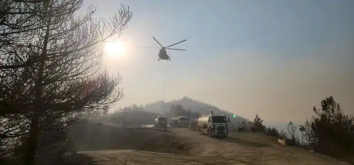Hassa’da yangınla mücadele 14. saatte devam ediyor