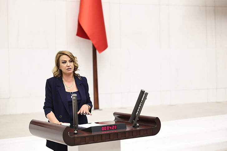 Bunun Adı Ormanlara İhanet : THK Uçakları Hangarda Çürüyor