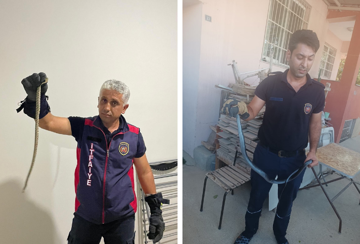 Hatay’da eve giren yılanları itfaiye yakaladı