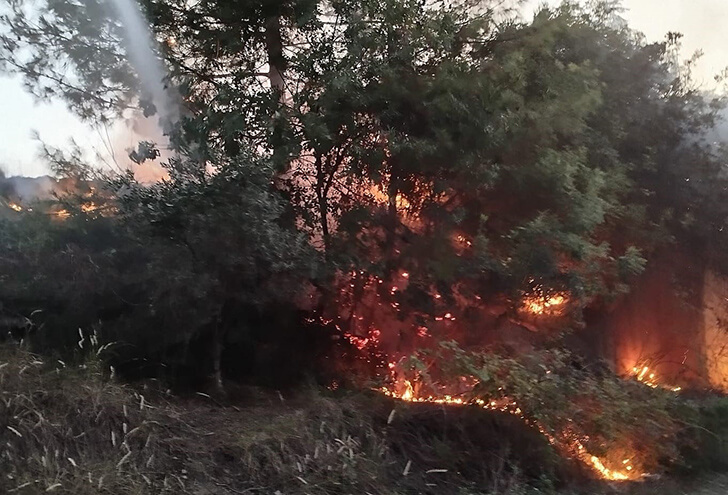 Dörtyol’da orman yangını büyümeden söndürüldü