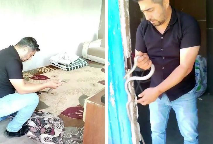 Hatay’da ‘Yılancı Kemal’ Korkulan Konteynere Girdi! Yılancı Kemal, 1 Metrelik Karayılanı Elleriyle Yakaladı!