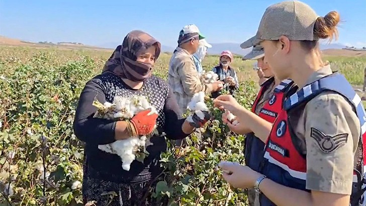 Jandarma ‘Kades’i Pamuk Tarlasında Anlattı