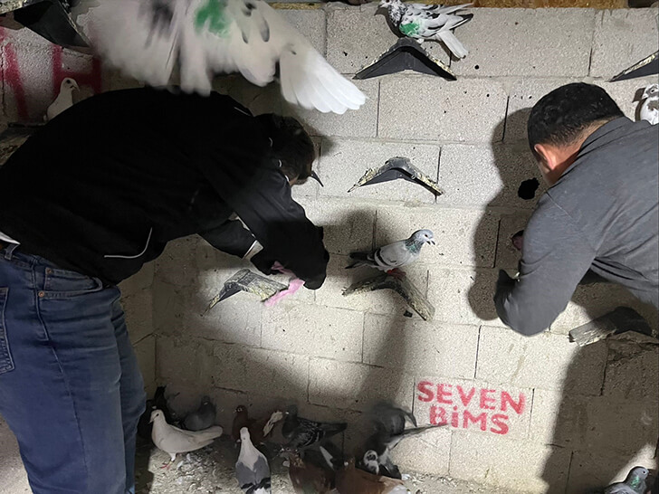 İskenderun’da Kuş Kümesine Saklanan Uyuşturucu Ortaya Çıkarıldı!
