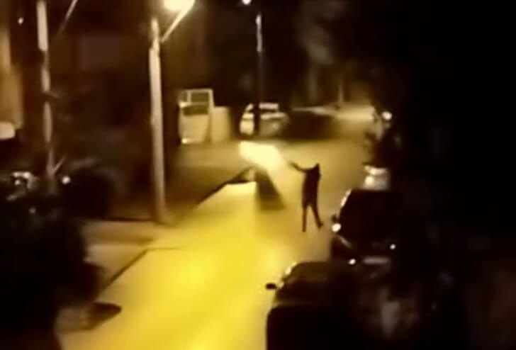 İskenderun’da Tehlikeli Yılbaşı Kutlaması!