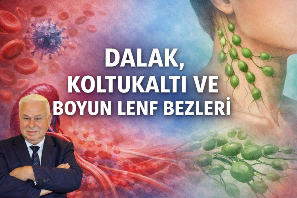 DALAK, KOLTUKALTI VE BOYUN LENF BEZLERİ