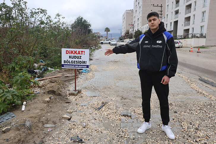 Samandağ’da Kuduz Alarmı: 4 Mahalle Karantinada!