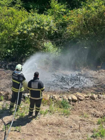 Antakya’da Zeytinlik Alanda Yangın Çıktı