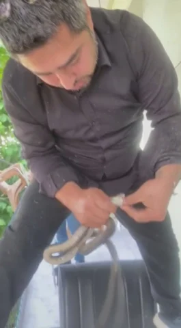 Klima ünitesinin boru hattında yakaladığı yılanı doğaya saldı
