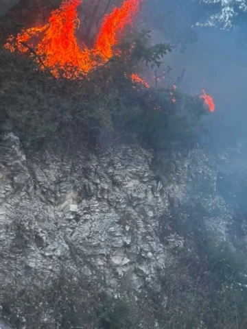 Yayladağı’nda ormanlık alanda çıkan yangın kontrol altına alındı