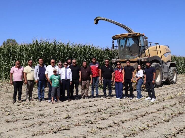 Akçalı Mahallesi’nde Silajlık Mısır Hasadı Gerçekleştirildi
