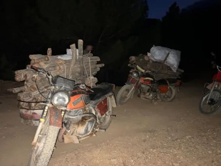 Ormanda Usulsüz Kesim Yapanlar Yakalandı